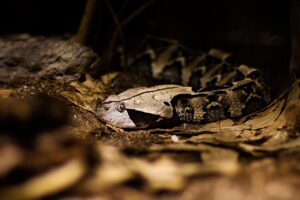 レバレッジETFの危険性について知っておくべきことは？