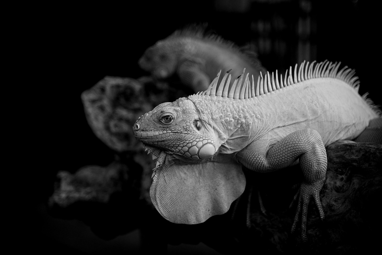 現物買いとはどのような投資方法なのか？