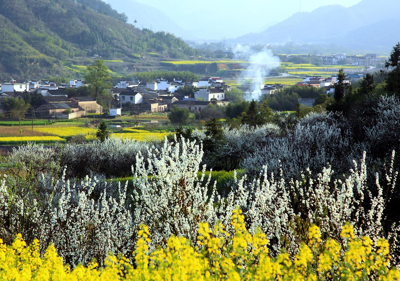 FX口座開設の方法を初心者がスムーズに行うには？